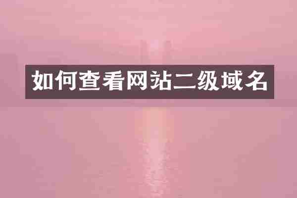 如何查看网站二级域名