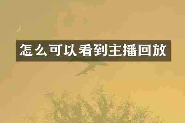 怎么可以看到主播回放