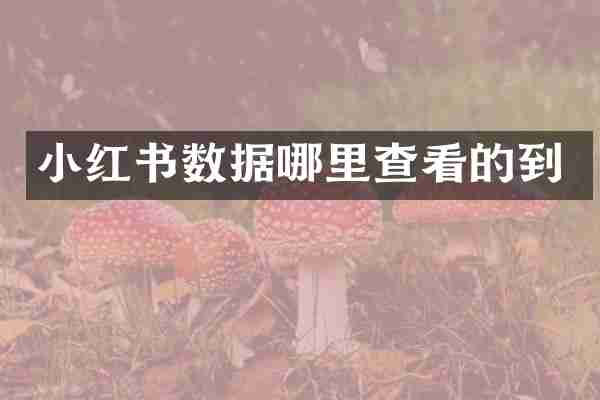 小红书数据哪里查看的到