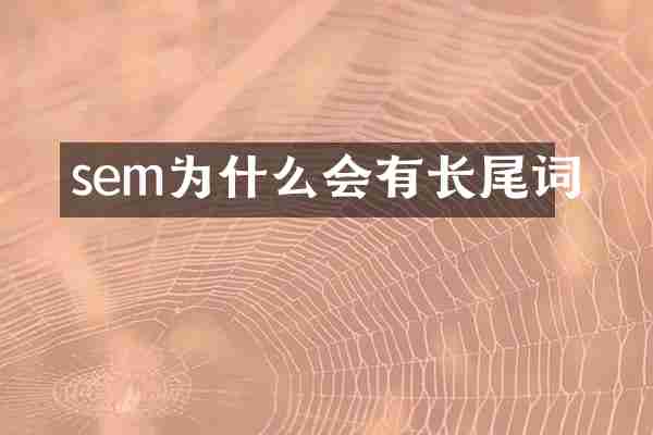 sem为什么会有长尾词