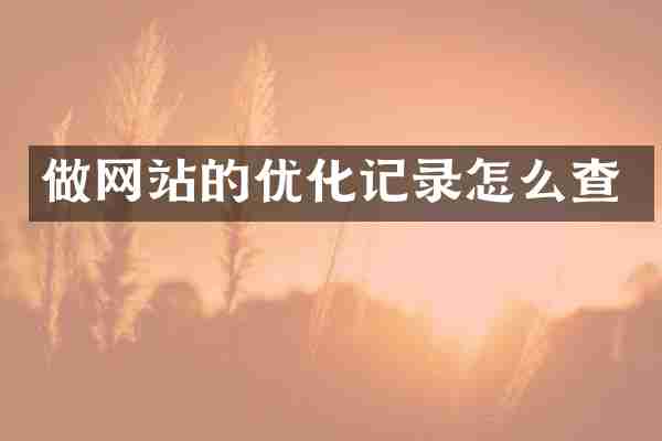 做网站的优化记录怎么查
