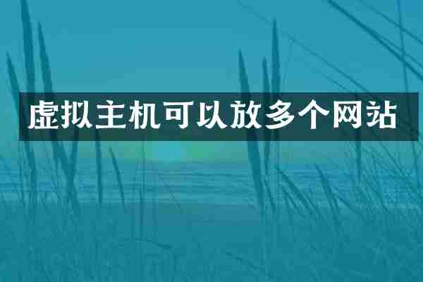虚拟主机可以放多个网站