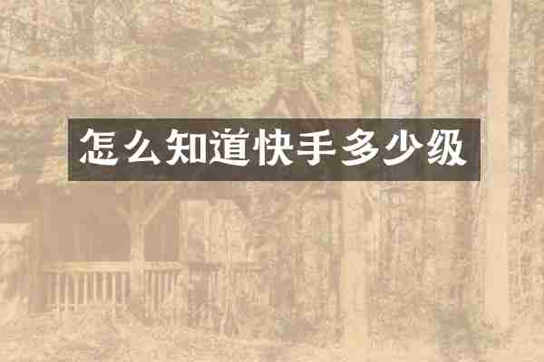 怎么知道快手多少级
