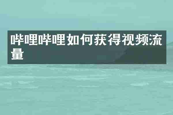 哔哩哔哩如何获得视频流量