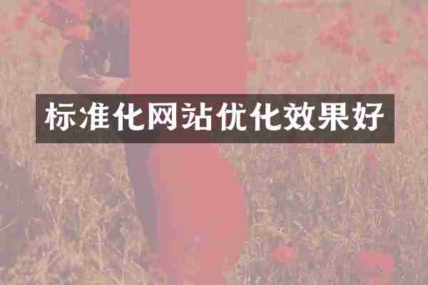 标准化网站优化效果好