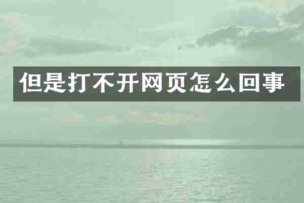 但是打不开网页怎么回事