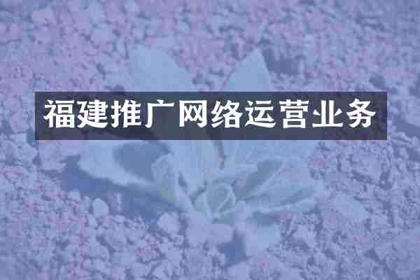 福建推广网络运营业务