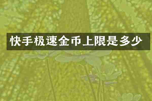 快手极速金币上限是多少