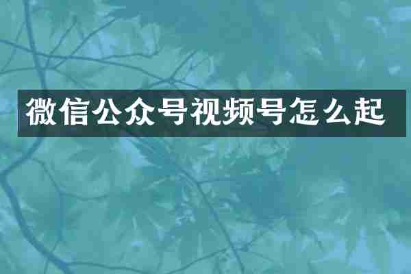 微信公众号视频号怎么起