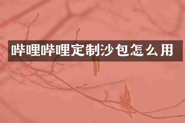 哔哩哔哩定制沙包怎么用