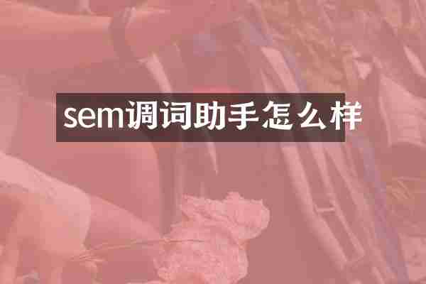 sem调词助手怎么样