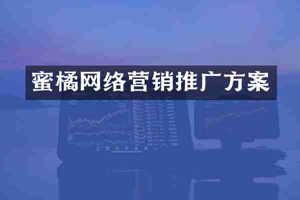 蜜橘网络营销推广方案