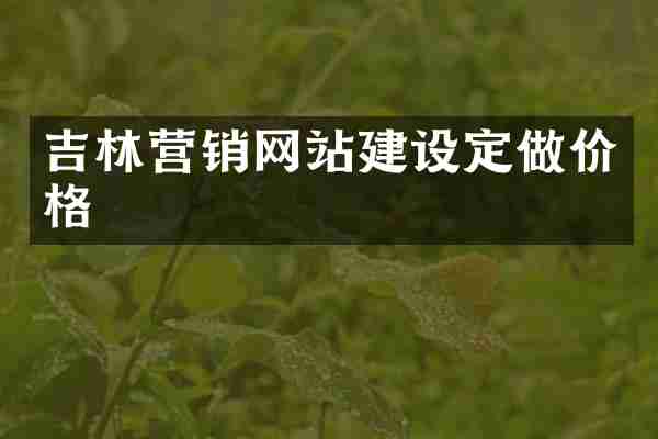 吉林营销网站建设定做价格