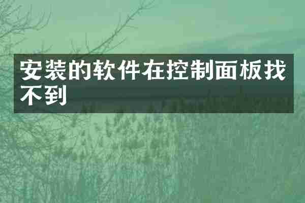 安装的软件在控制面板找不到