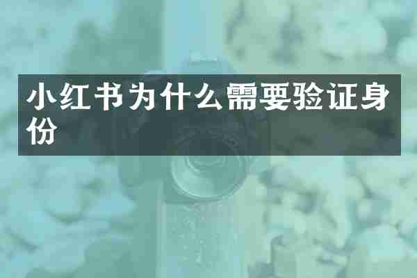 小红书为什么需要验证身份