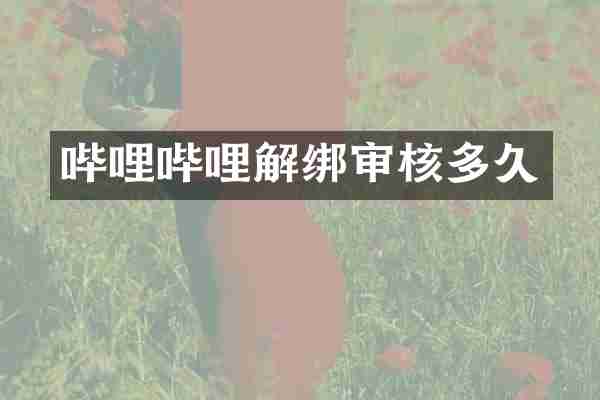 哔哩哔哩解绑审核多久