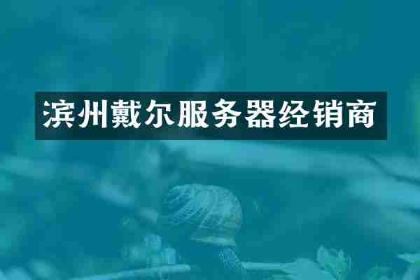 滨州戴尔服务器经销商