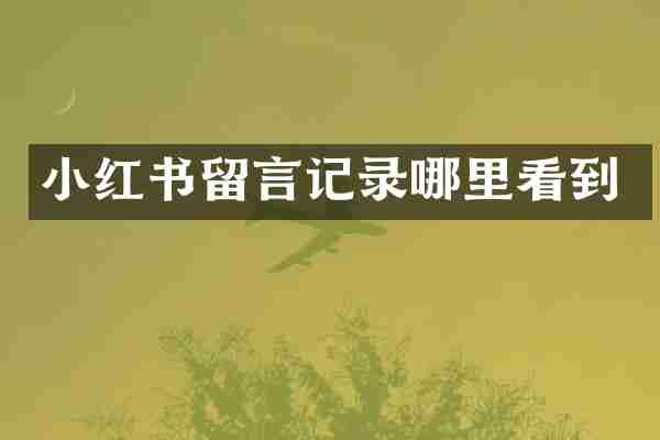 小红书留言记录哪里看到