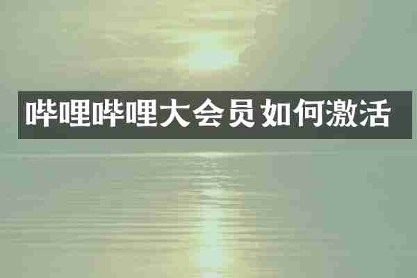 哔哩哔哩大会员如何激活