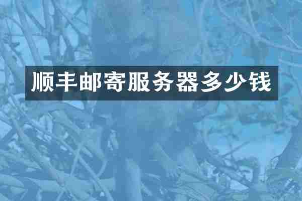 顺丰邮寄服务器多少钱
