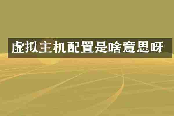 虚拟主机配置是啥意思呀