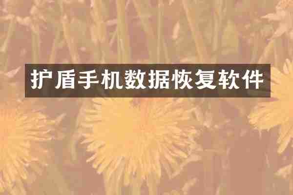 护盾手机数据恢复软件