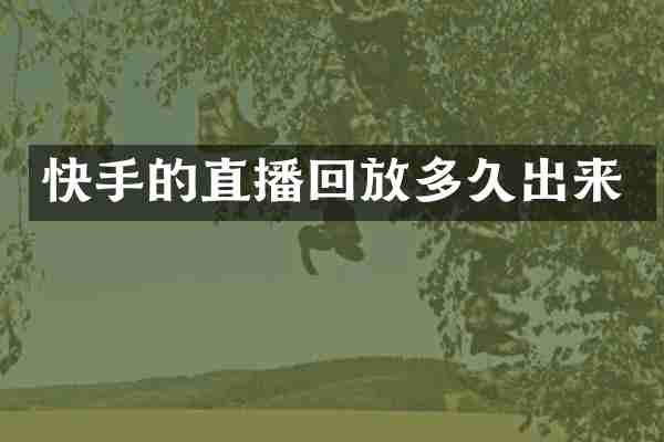 快手的直播回放多久出来