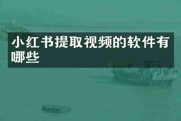 小红书提取视频的软件有哪些