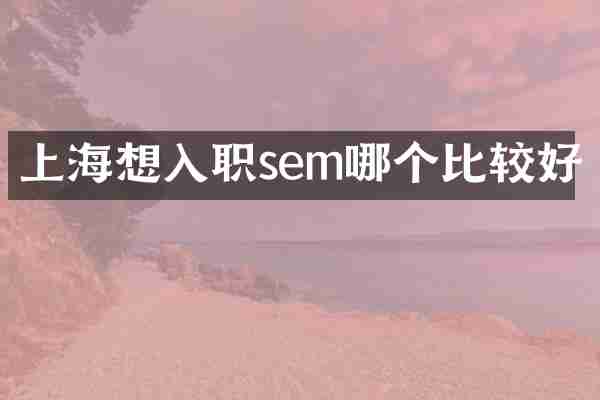 上海想入职sem哪个比较好