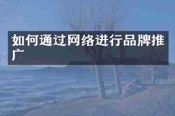 如何通过网络进行品牌推广