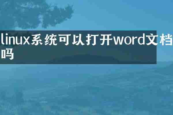 linux系统可以打开word文档吗
