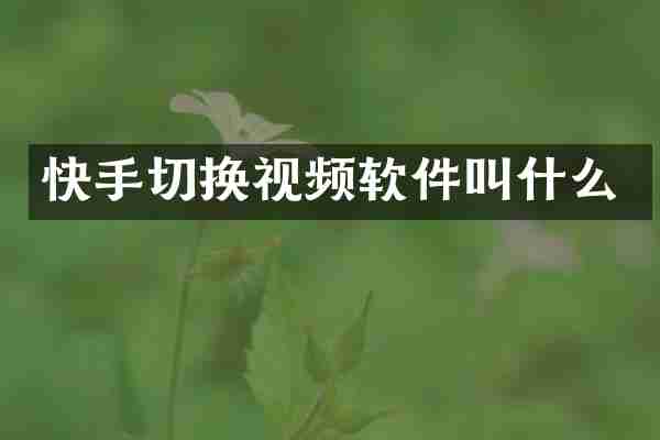 快手切换视频软件叫什么