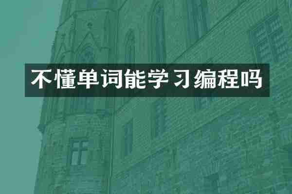不懂单词能学习编程吗