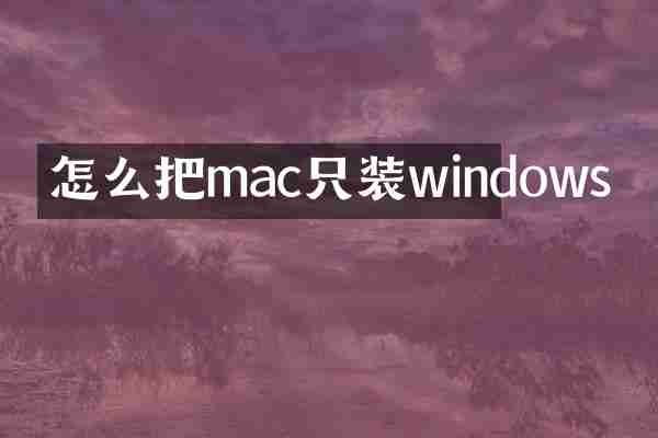 怎么把mac只装windows