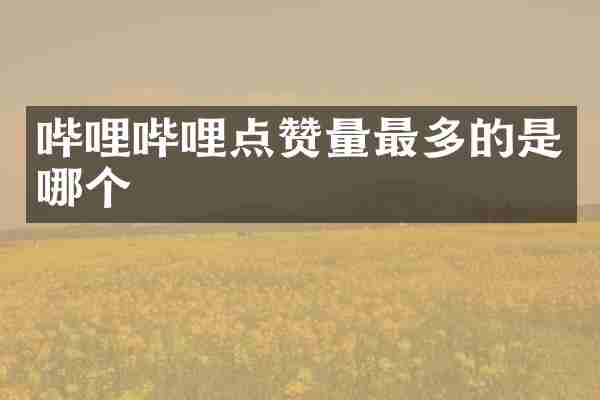 哔哩哔哩点赞量最多的是哪个