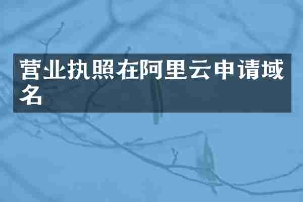 营业执照在阿里云申请域名