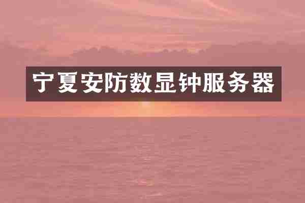 宁夏安防数显钟服务器