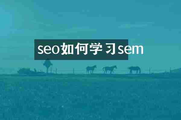 seo如何学习sem