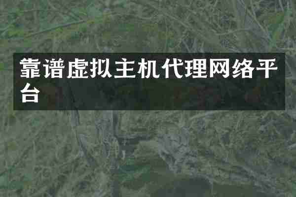 靠谱虚拟主机代理网络平台