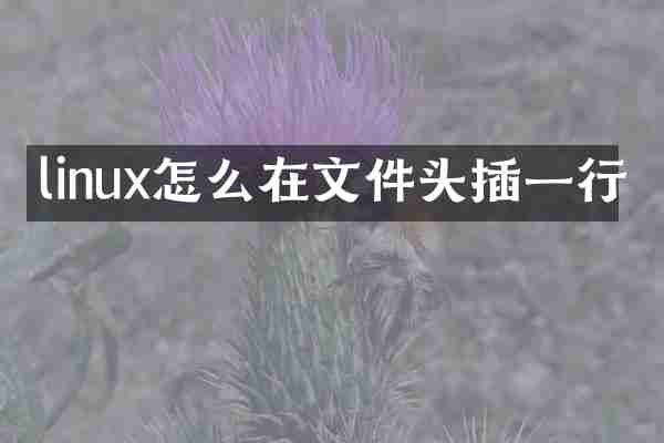 linux怎么在文件头插一行