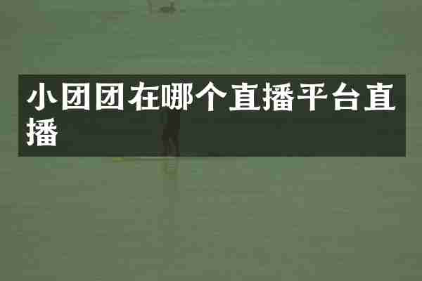 小团团在哪个直播平台直播