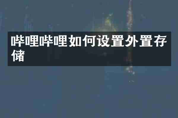哔哩哔哩如何设置外置存储