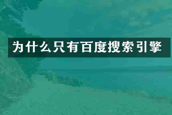 为什么只有百度搜索引擎