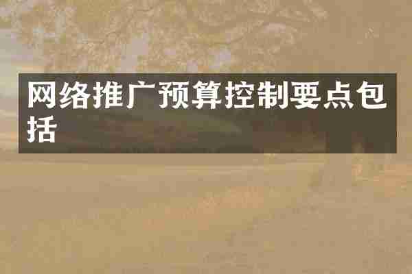 网络推广预算控制要点包括