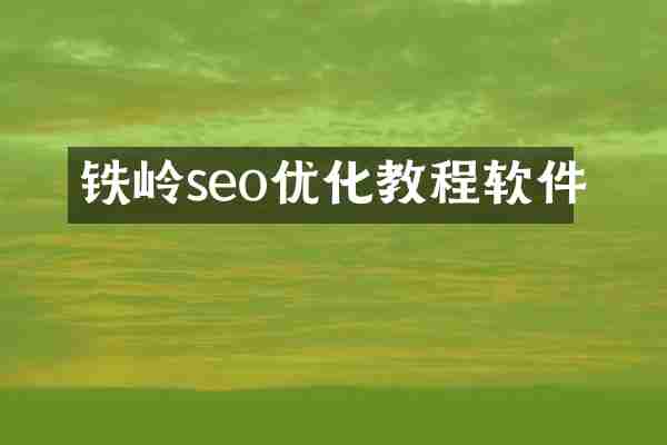 铁岭seo优化教程软件