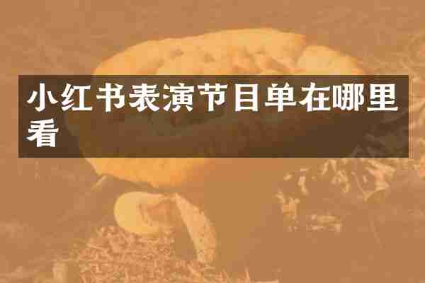 小红书表演节目单在哪里看