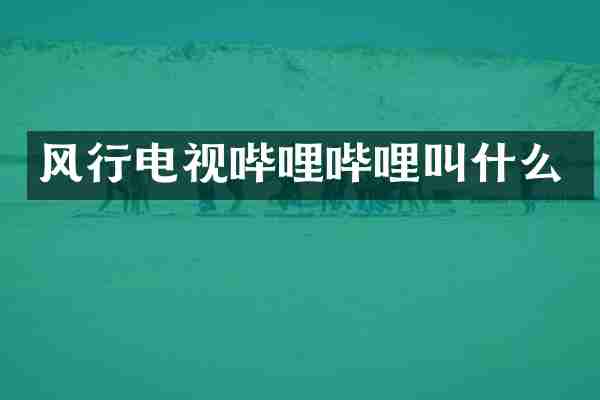 风行电视哔哩哔哩叫什么