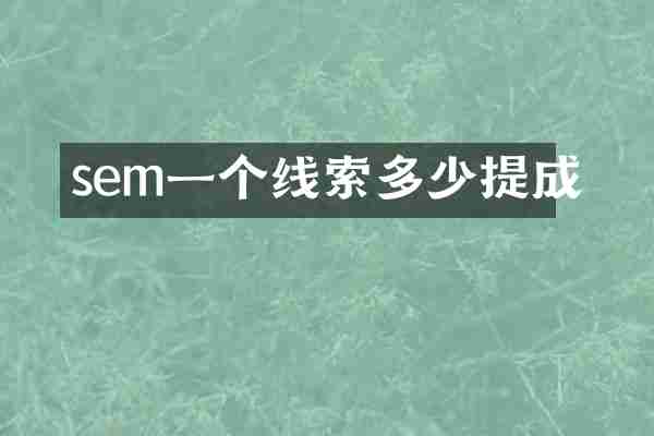 sem一个线索多少提成