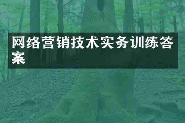 网络营销技术实务训练答案