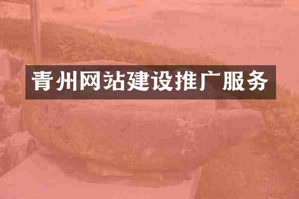 青州网站建设推广服务